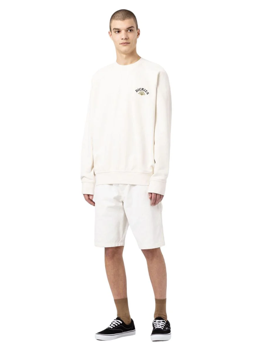 Pantaloncini Duck Canvas Uomo Stone Washed Cloud - immagine 7
